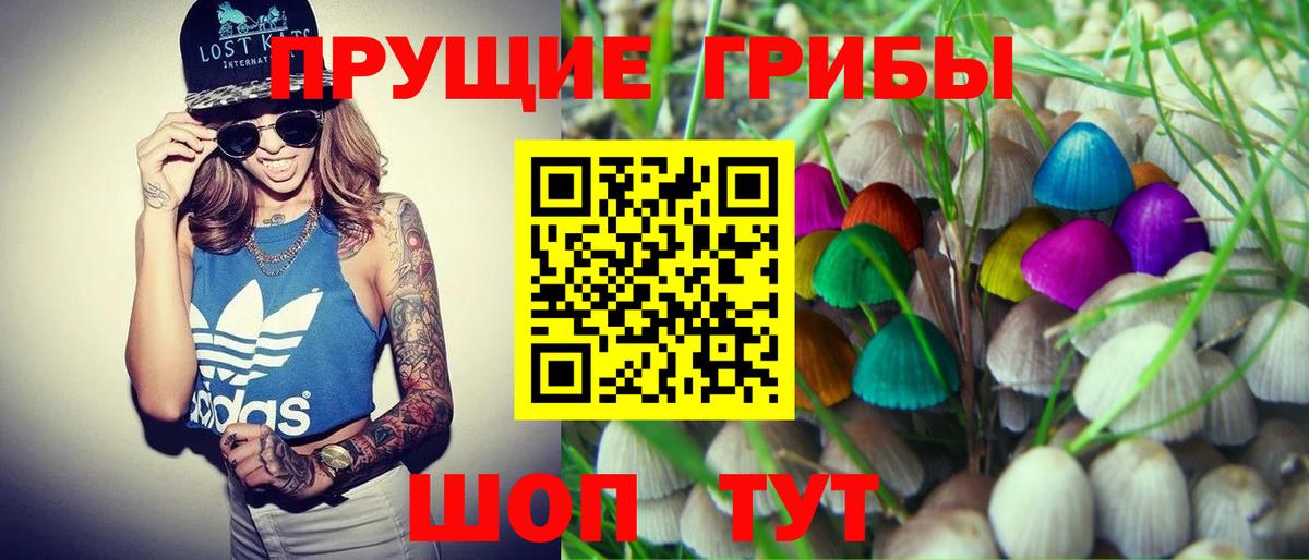 Галлюциногенные грибы мухоморы  Вход с VPN  Костомукша 
