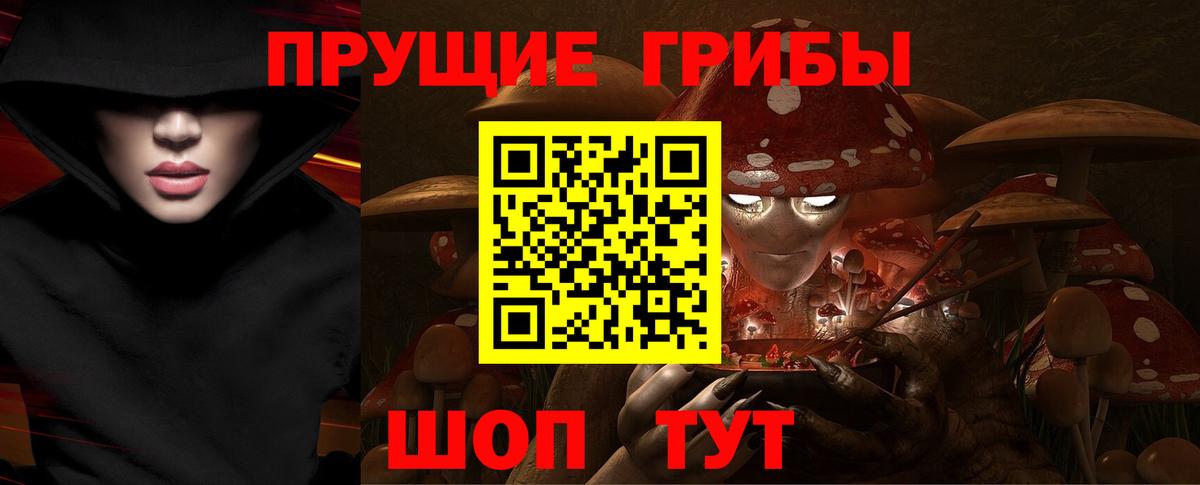 Галлюциногенные грибы Cubensis Костомукша